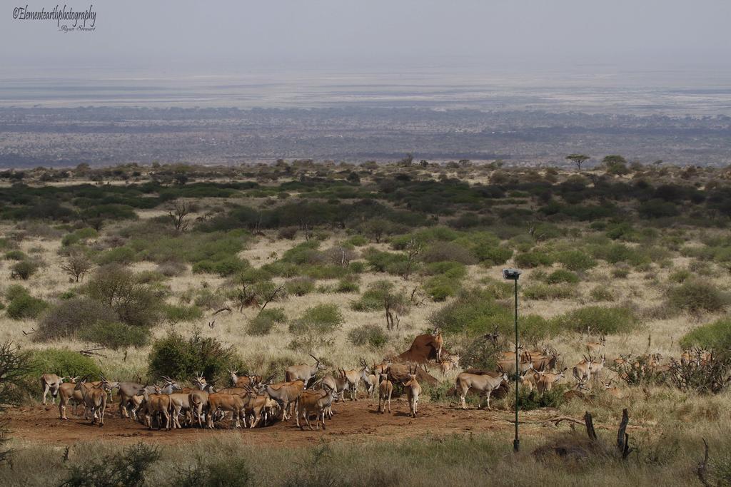 Elerai Camp Ξενοδοχείο Amboseli Εξωτερικό φωτογραφία