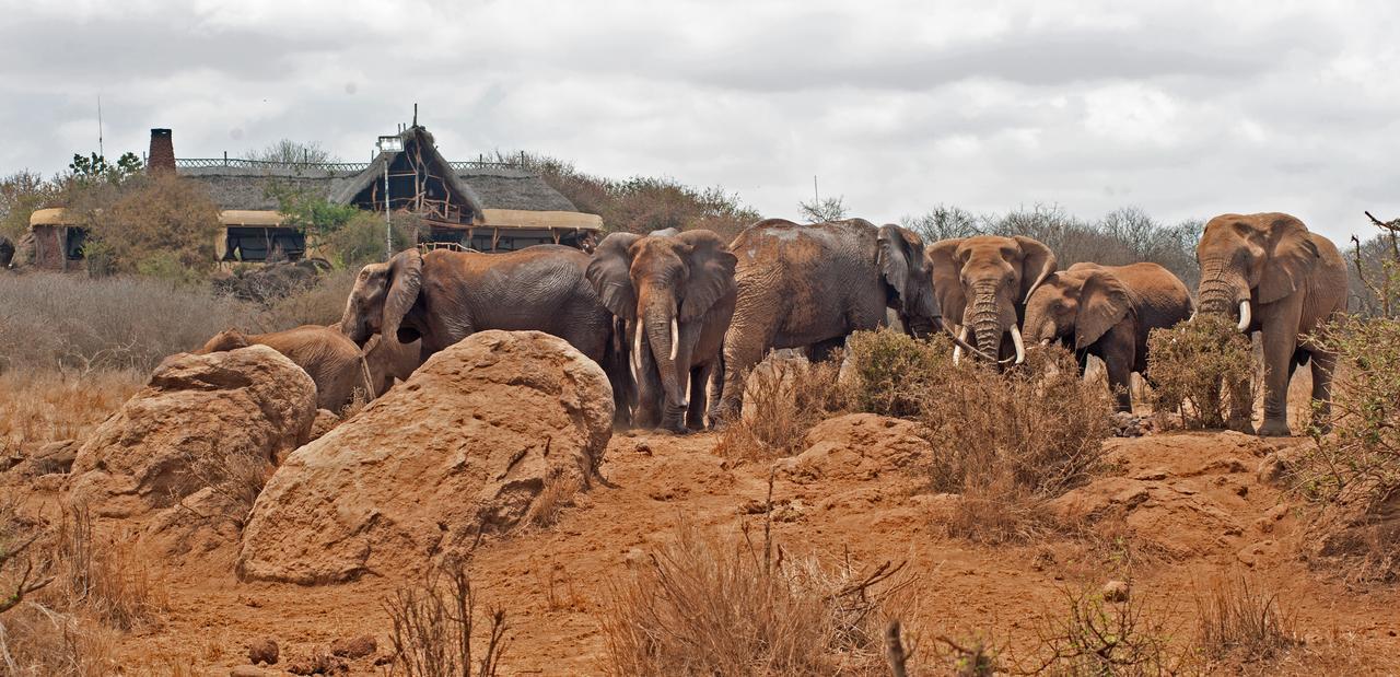 Elerai Camp Ξενοδοχείο Amboseli Εξωτερικό φωτογραφία